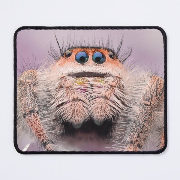 Item preview, Sweet Jumping spider (Phidippus regius) designed and sold by SharpSpoods.