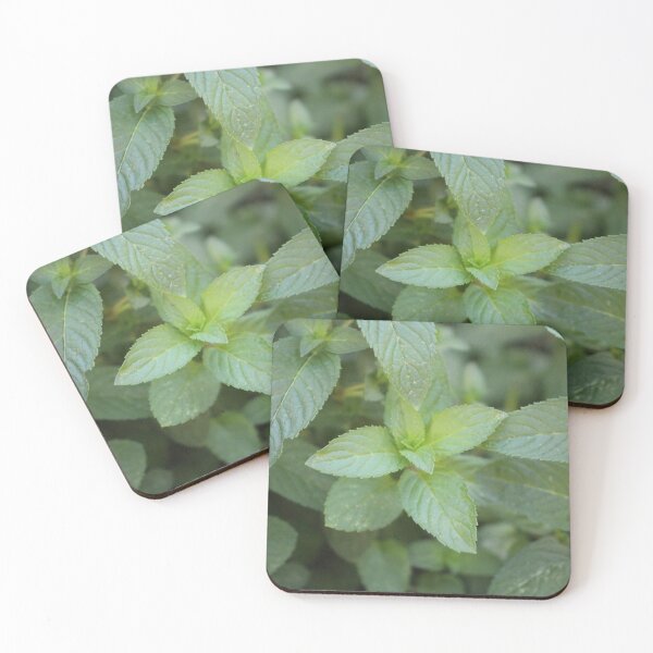 Item preview, Mint Leaves designed and sold by matthewsimon1.