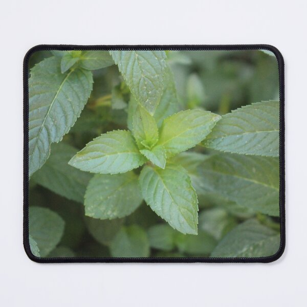 Item preview, Mint Leaves designed and sold by matthewsimon1.