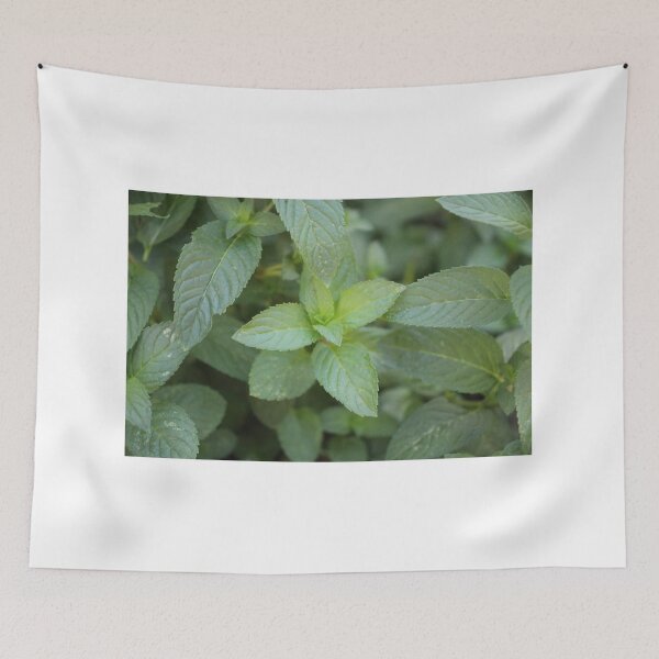 Item preview, Mint Leaves designed and sold by matthewsimon1.