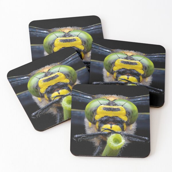 Item preview, Golden-ringed dragonfly face (Cordulegaster boltonii) designed and sold by SharpSpoods.