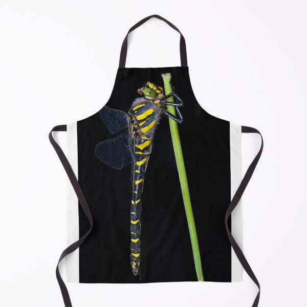 Item preview, Golden-ringed dragonfly (Cordulegaster boltonii) designed and sold by SharpSpoods.