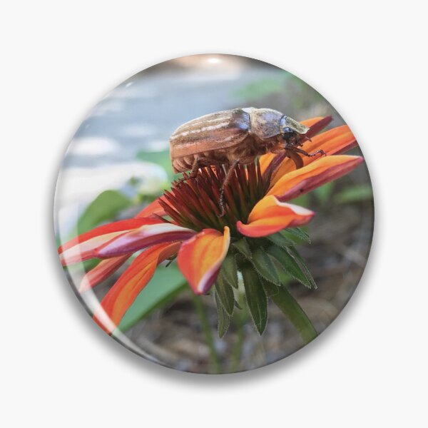 Item preview, June Beetle designed and sold by Kimberly Newsom.