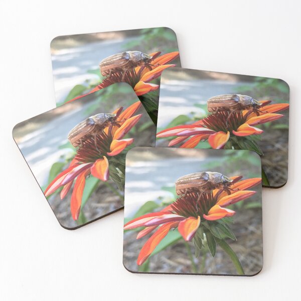 Item preview, June Beetle designed and sold by Kimberly Newsom.