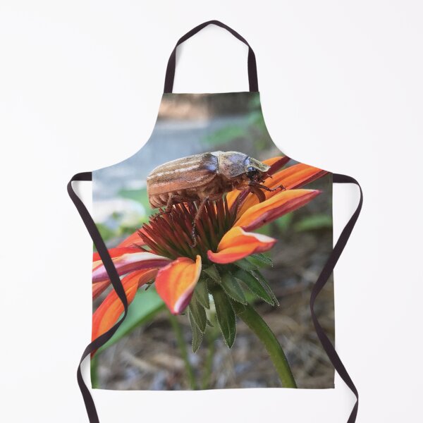 Item preview, June Beetle designed and sold by Kimberly Newsom.