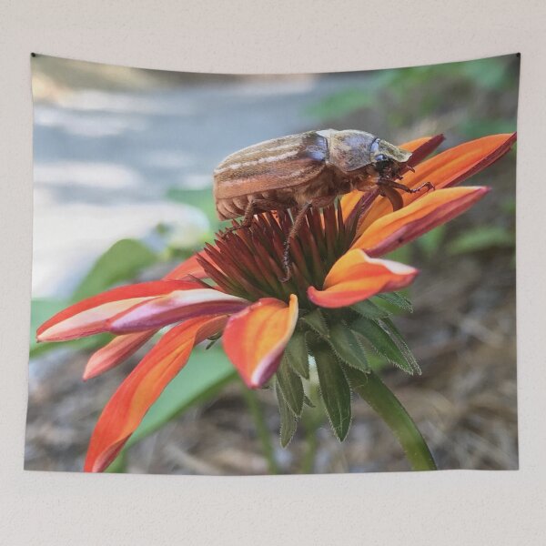Item preview, June Beetle designed and sold by Kimberly Newsom.