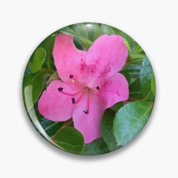 Artikelvorschau, Einsame rosa Azalee entworfen und verkauft von Amanda1775.
