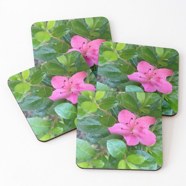 Item preview, Lone Pink Azalea  designed and sold by Amanda1775.