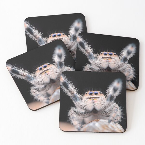 Item preview, Cute waving Jumping Spider (Phidippus regius) designed and sold by SharpSpoods.