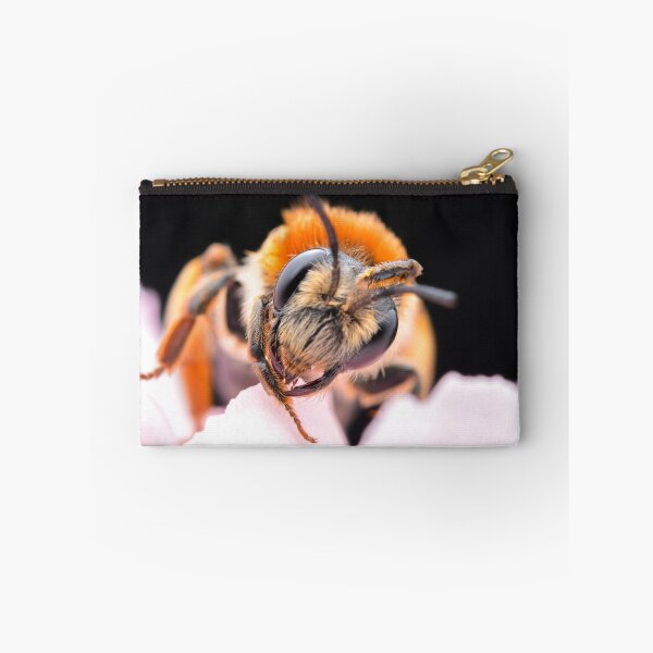 Item preview, Orange-tailed mining bee in flowers (Andrena haemorrhoa) designed and sold by SharpSpoods.
