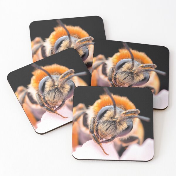 Item preview, Orange-tailed mining bee in flowers (Andrena haemorrhoa) designed and sold by SharpSpoods.