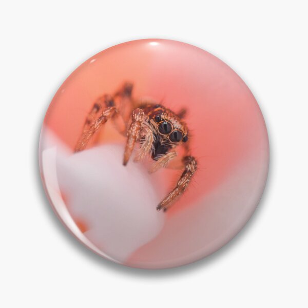 Item preview, Small Cute Zebra Jumping Spider (Salticus scenicus) designed and sold by SharpSpoods.