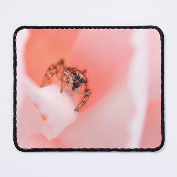 Item preview, Small Cute Zebra Jumping Spider (Salticus scenicus) designed and sold by SharpSpoods.