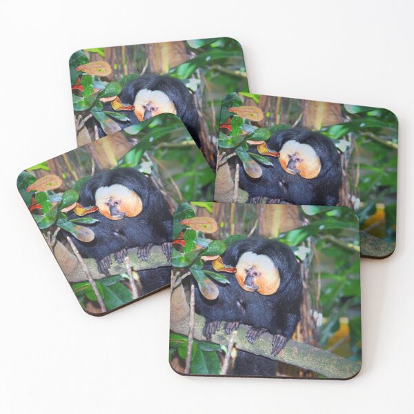 Item preview, Saki Monkey designed and sold by Savannah Gibbs.
