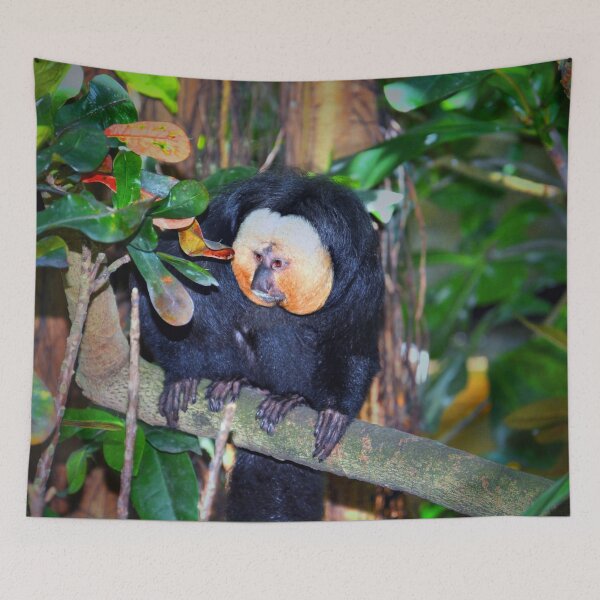 Aperçu de l'œuvre Singe Saki créée et vendue par Savannah Gibbs.