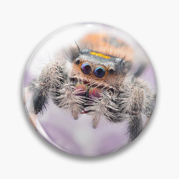 Item preview, Jumping spider on amethyst (Phidippus regius) designed and sold by SharpSpoods.