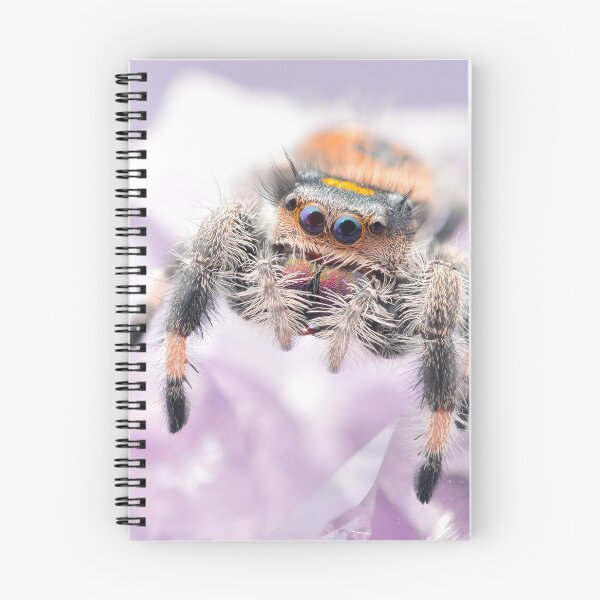 Item preview, Jumping spider on amethyst (Phidippus regius) designed and sold by SharpSpoods.