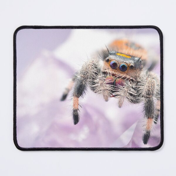 Item preview, Jumping spider on amethyst (Phidippus regius) designed and sold by SharpSpoods.