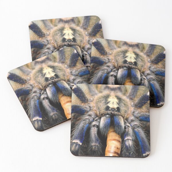 Item preview, Beautiful blue Gooty Sapphire Ornamental Tarantula (Poecilotheria metallica) designed and sold by SharpSpoods.