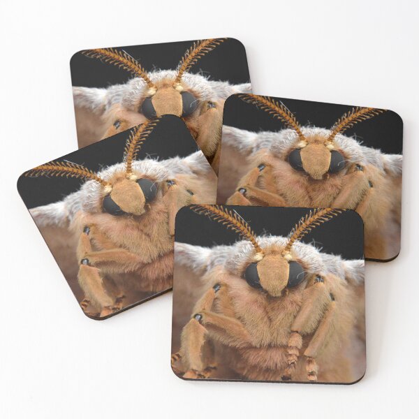 Item preview, Cute Chinese Oak Silkmoth (Antheraea pernyi) designed and sold by SharpSpoods.