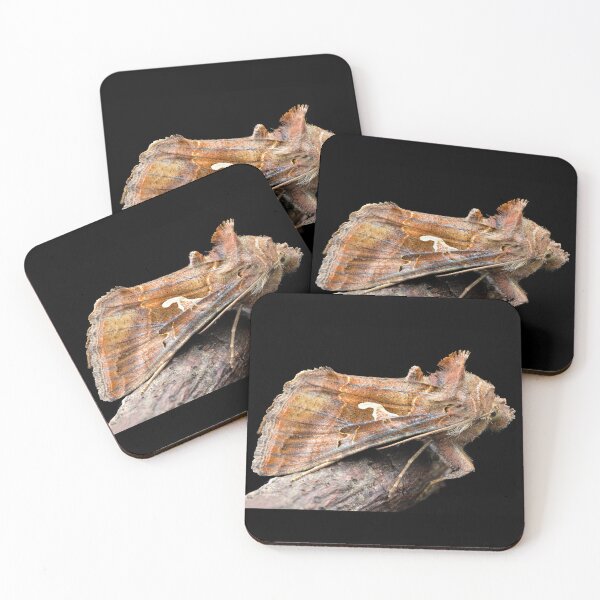 Item preview, Silver Y moth (Autographa gamma) designed and sold by SharpSpoods.