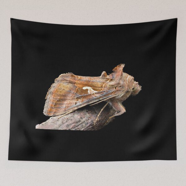 Item preview, Silver Y moth (Autographa gamma) designed and sold by SharpSpoods.