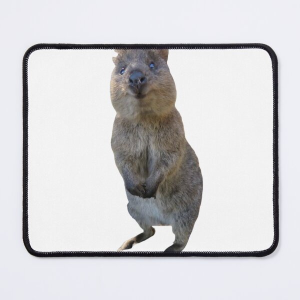 Item preview, standing quokka  designed and sold by SillyLittleSnek.
