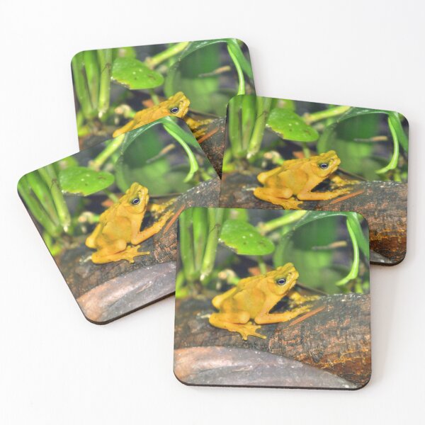 Item preview, Golden Poison Dart Frog designed and sold by Savannah Gibbs.