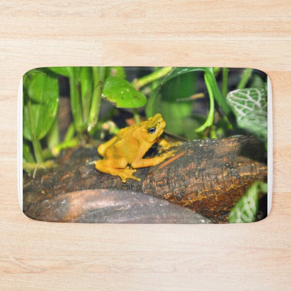 Item preview, Golden Poison Dart Frog designed and sold by Savannah Gibbs.