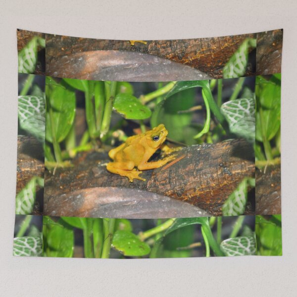 Item preview, Golden Poison Dart Frog designed and sold by Savannah Gibbs.