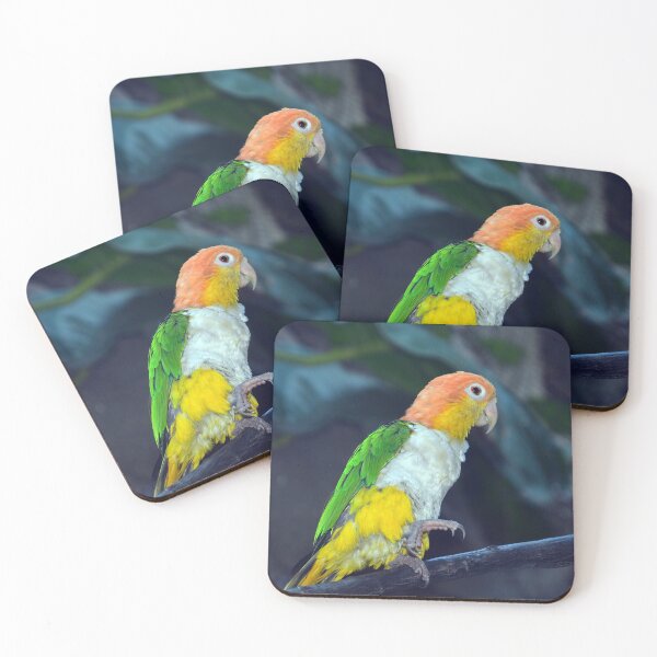 Item preview, White-Bellied Parrot designed and sold by Savannah Gibbs.