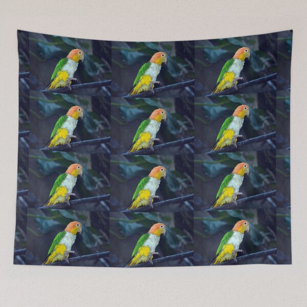 Item preview, White-Bellied Parrot designed and sold by Savannah Gibbs.