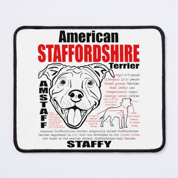 Item preview, STAFFY designed and sold by Jeroni88.