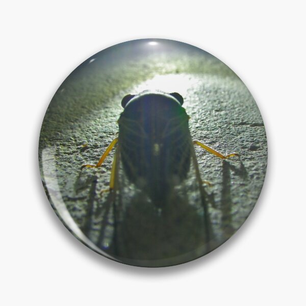 Item preview, Cicada from rear at night designed and sold by Creative Endeavors ..