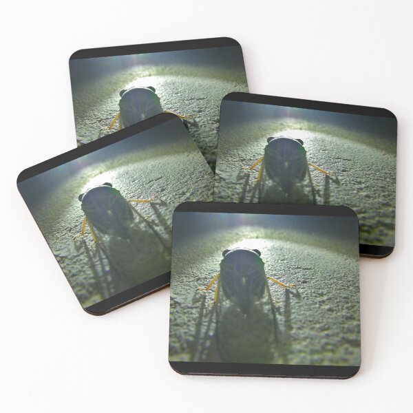 Item preview, Cicada from rear at night designed and sold by Creative Endeavors ..