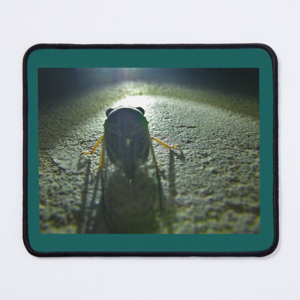 Item preview, Cicada from rear at night designed and sold by Creative Endeavors ..