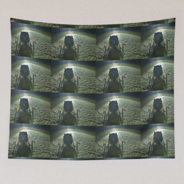 Item preview, Cicada from rear at night designed and sold by Creative Endeavors ..