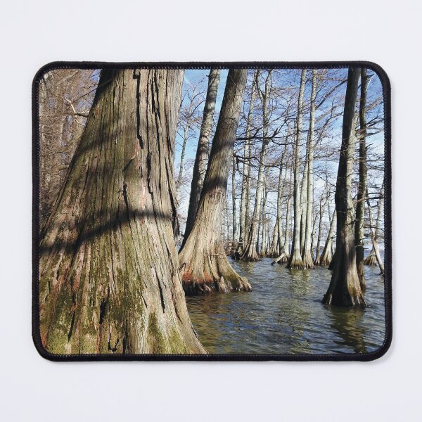 Item preview, Trees in the Water at Reelfoot Lake Tennessee designed and sold by Yellow Bird Studios.