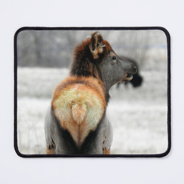 Item preview, Elk in Winter at Land Between the Lakes designed and sold by Yellow Bird Studios.