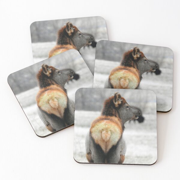 Item preview, Elk in Winter at Land Between the Lakes designed and sold by Yellow Bird Studios.