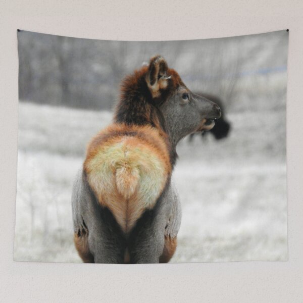 Item preview, Elk in Winter at Land Between the Lakes designed and sold by Yellow Bird Studios.