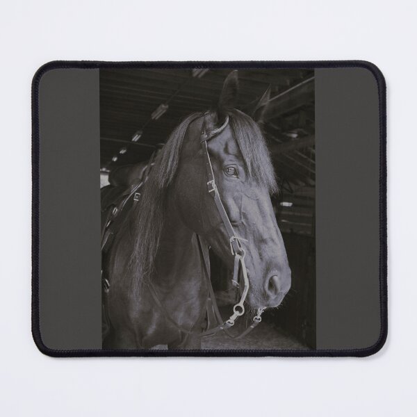 Item preview, Western Black Horse designed and sold by PrintsAndPetals.