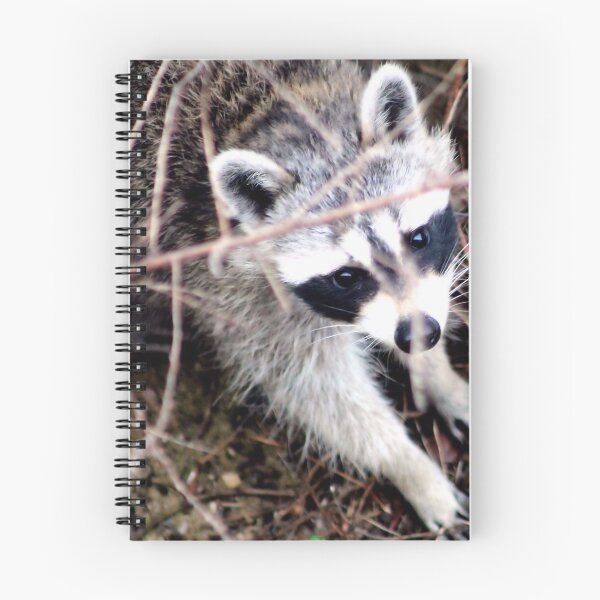 Item preview, BANDIT designed and sold by BOLLA67.