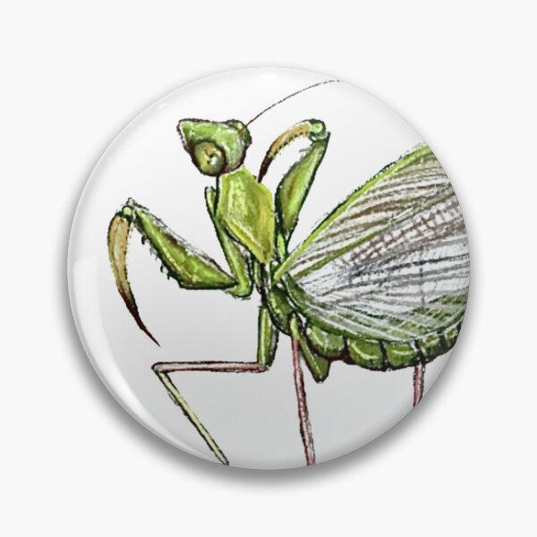 Item preview, Green Mantis designed and sold by Kyra C. Kalageorgi.