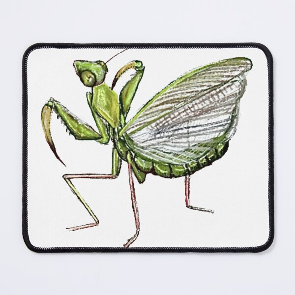 Item preview, Green Mantis designed and sold by Kyra C. Kalageorgi.