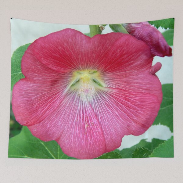 Item preview, Hollyhock designed and sold by gistinker.