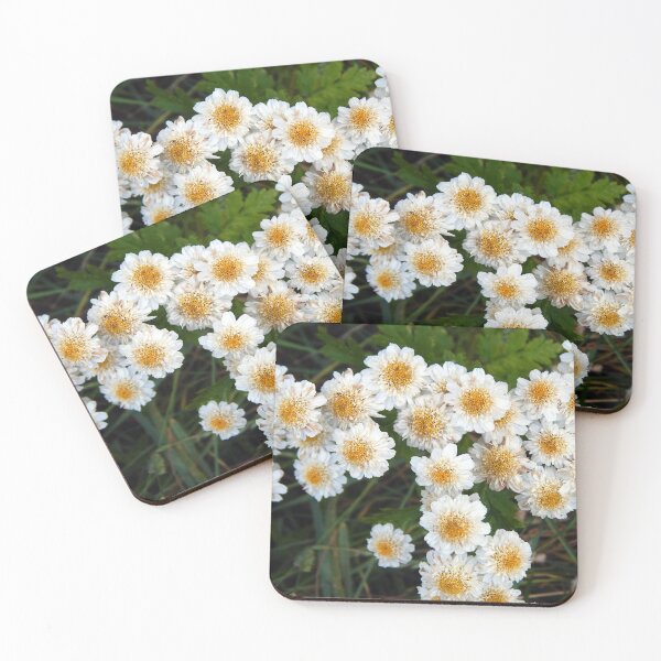 Item preview, Tansies to a T designed and sold by gistinker.