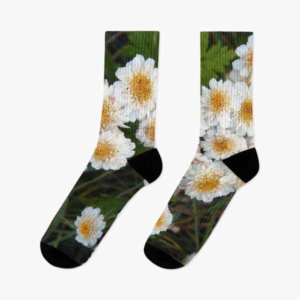 Item preview, Tansies to a T designed and sold by gistinker.