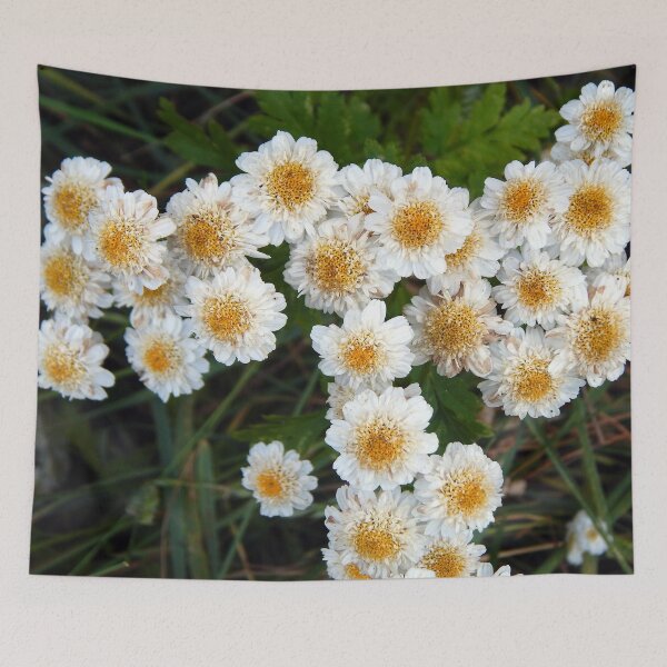 Item preview, Tansies to a T designed and sold by gistinker.
