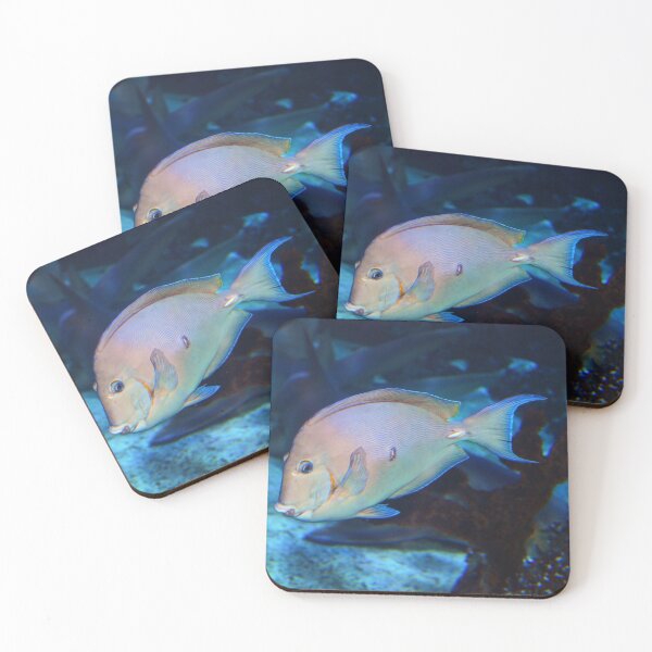 Item preview, Fish designed and sold by Savannah Gibbs.
